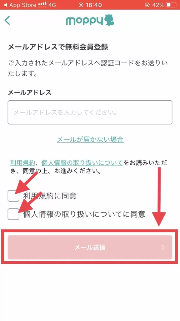 メールアドレスを入力し、「利用規約」と「個人情報の取り扱いについてに同意」にチェックを入れ、「メール送信」をタップしている画面