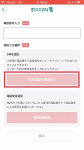電話番号を入力し、「SMS認証」または「電話番号認証」いずれかの認証方法を選択後、届いた認証コードを入力している画面